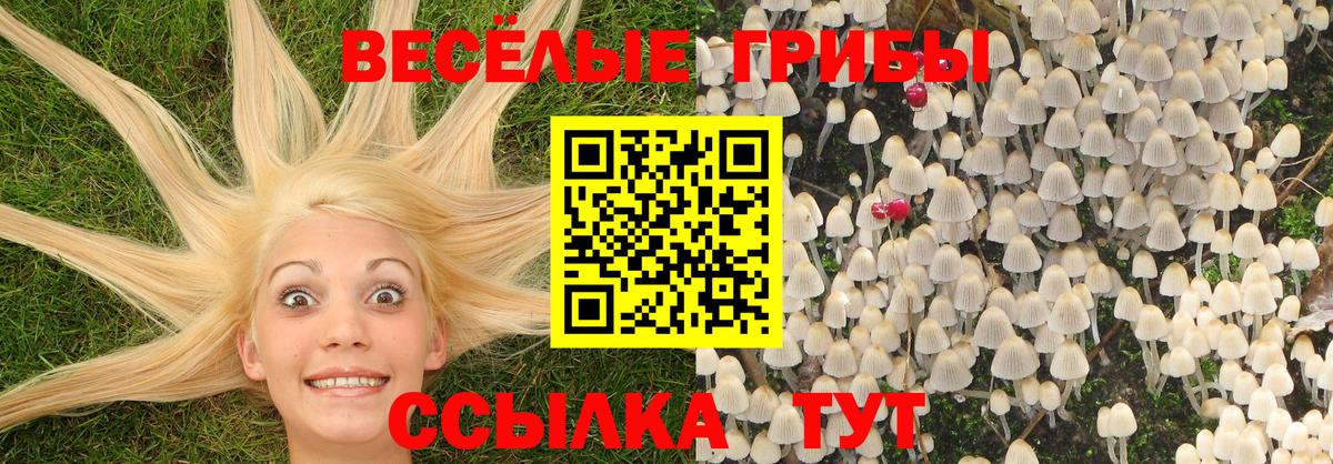Псилоцибиновые грибы Magic Shrooms  Вход с VPN  Полысаево  Псилоцибиновые грибы Psilocybe 